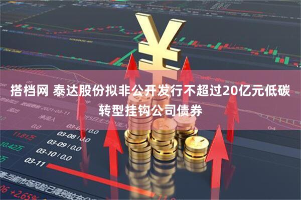 搭档网 泰达股份拟非公开发行不超过20亿元低碳转型挂钩公司债券