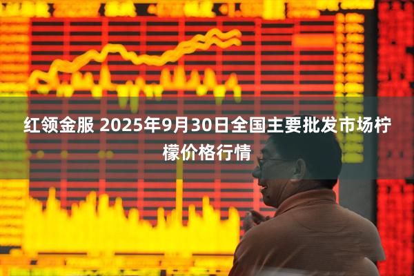 红领金服 2025年9月30日全国主要批发市场柠檬价格行情